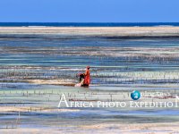 GlobBlog Africa Photo Expedition